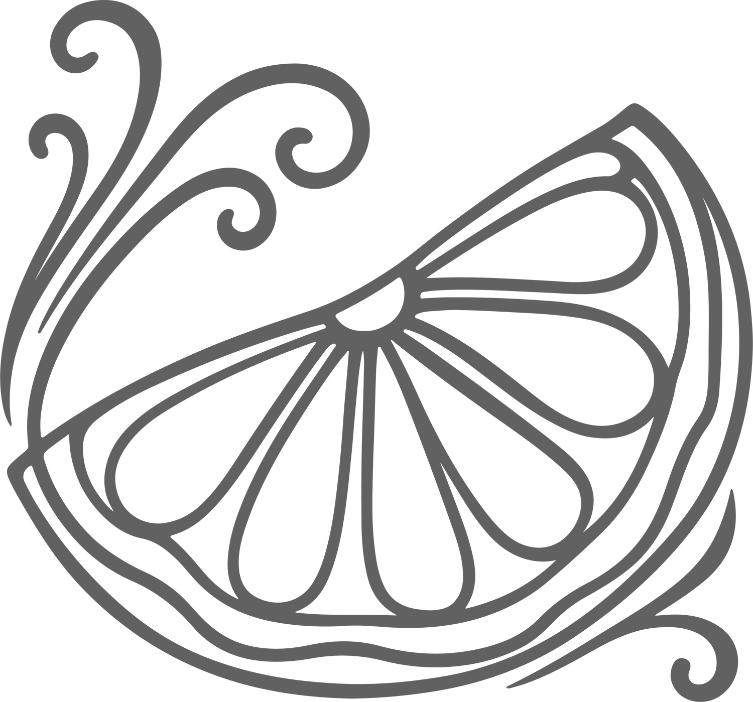 Cítricos